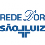 Logo rede-dor-sao-luiz-1-original