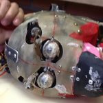 CabecaOrangoTeste2
